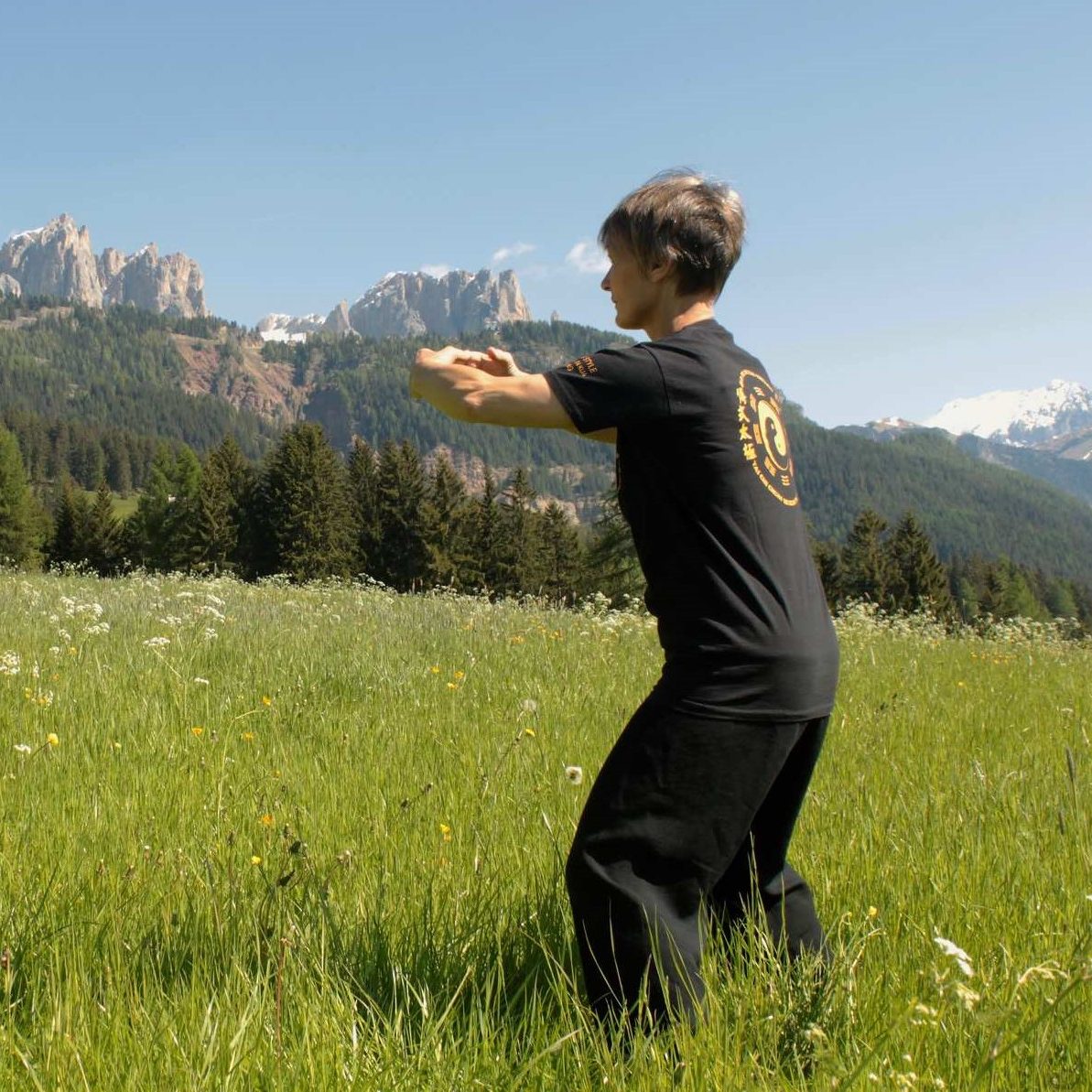 qigong2 qigong2
